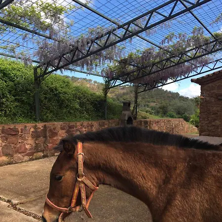 El Tornero * Aracena